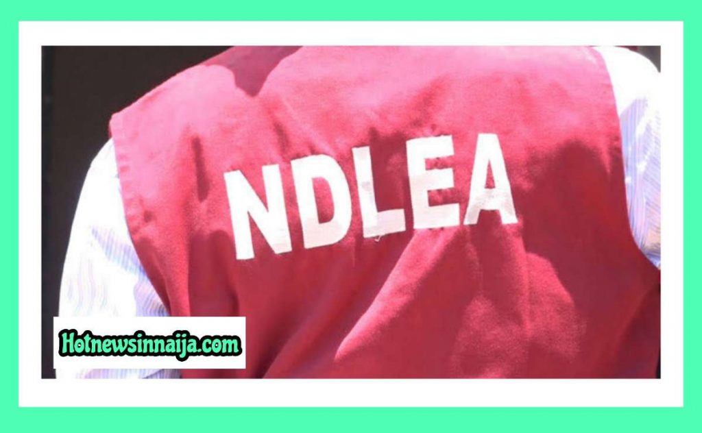 NDLEA