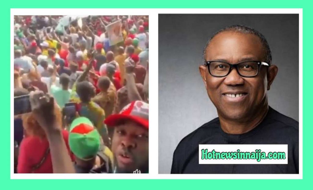 Peter Obi