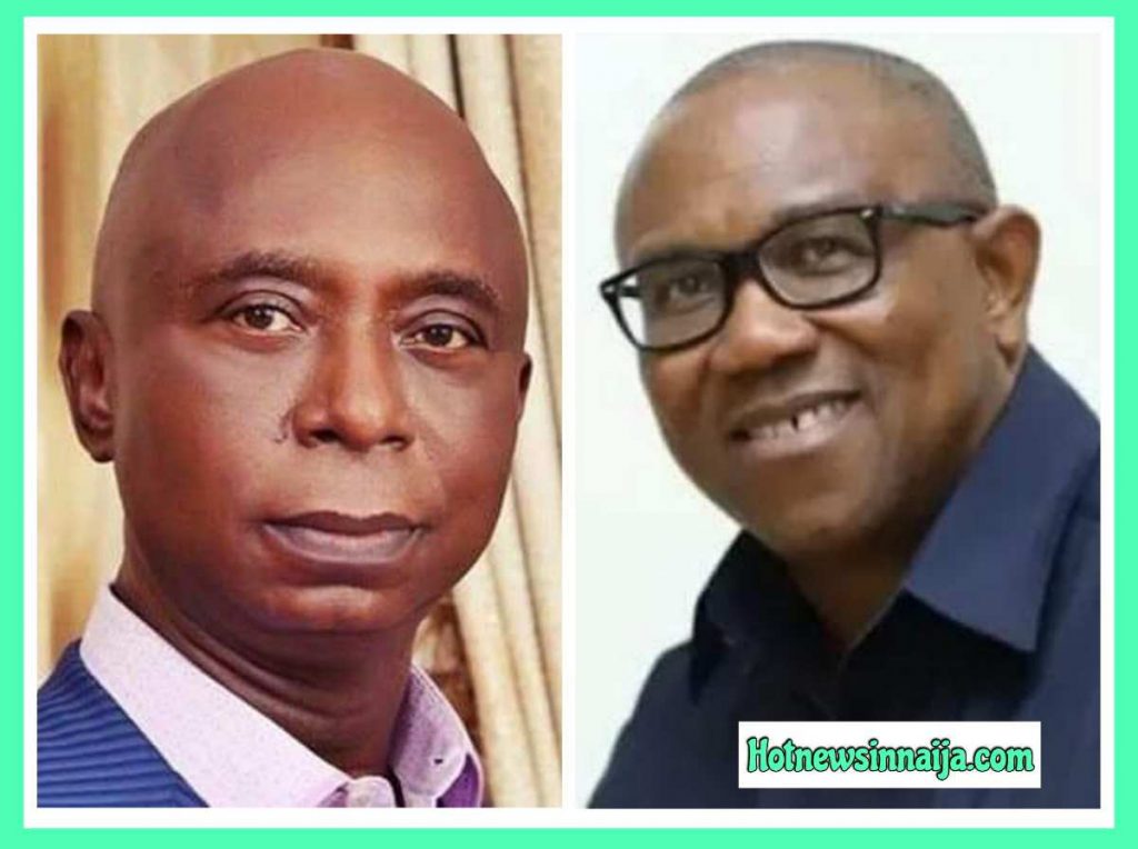 Ned Nwoko vs Peter Obi